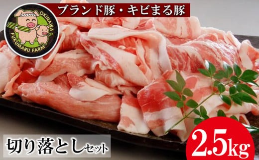 【日本各地の肉特集】【ブランド豚・キビまる豚】切り落とし 約2.5kg - 豚肉 小分け 500gずつ 部位混合 色々楽しめる 人気 しょうが焼き 肉じゃが 豚丼 豚キムチ 肉巻き アレンジ 色々 人気 ブランド豚 おすすめ 沖縄県 八重瀬町【価格改定】 (管理コード:NN001)