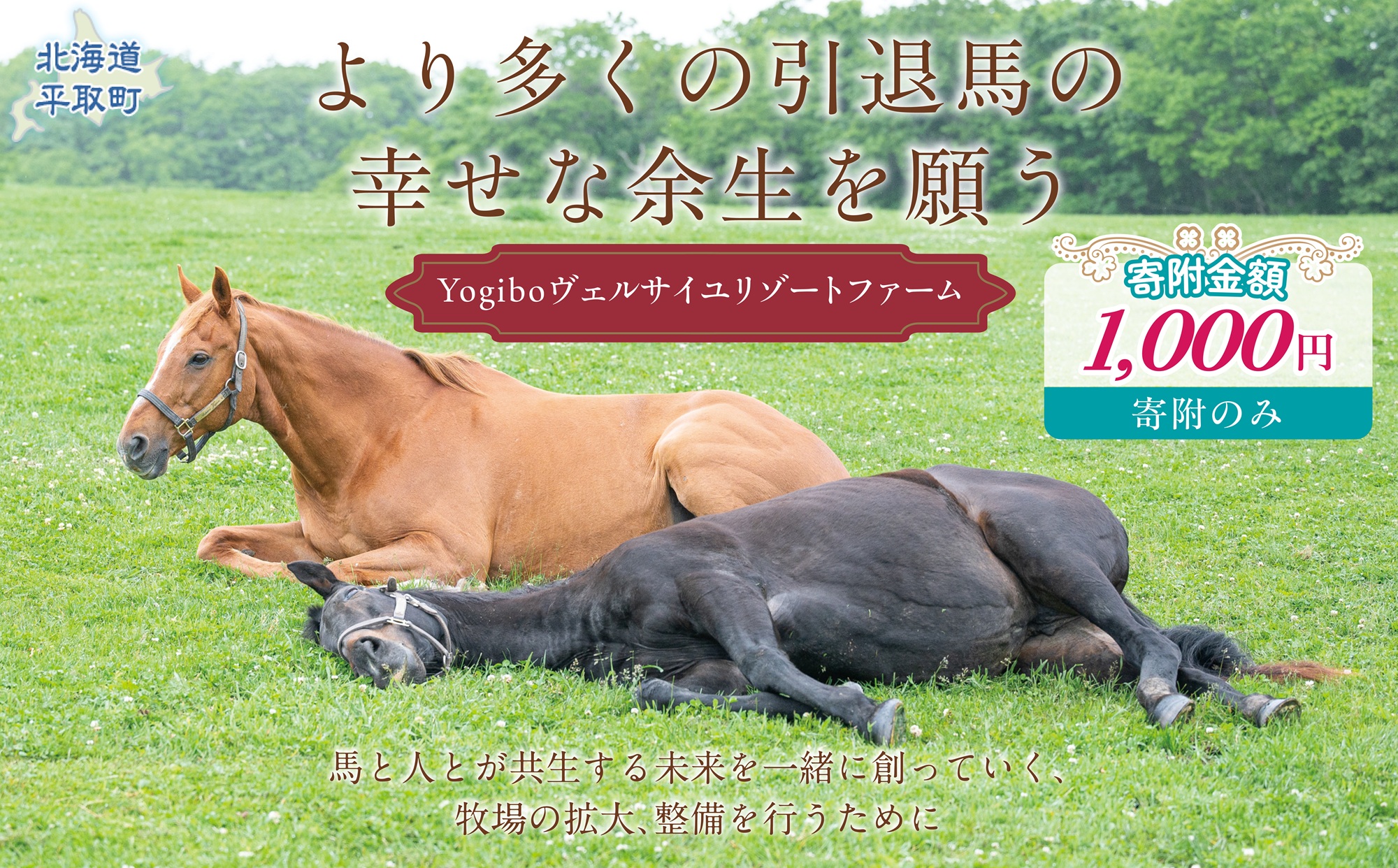 【千円コース 返礼品無し】より多くの引退馬の幸せな余生を願う Yogiboヴェルサイユリゾートファーム BRTV024-01