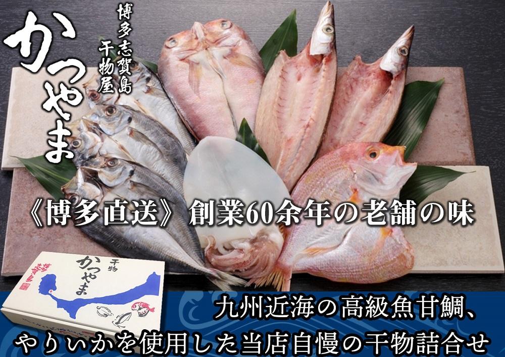 博多志賀島 干物かつやま定番干物詰合せ