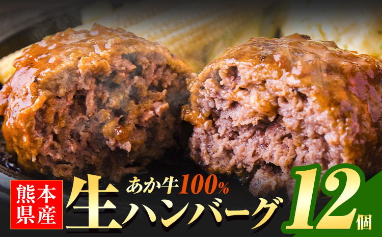 熊本県産あか牛100%生ハンバーグ 140g×12個 入り 《30日以内に出荷予定(土日祝除く)》 冷凍 ハンバーグ---mna_faknhamv_30d_26_12000_12p---