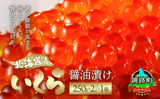 いくら醤油漬け 500g（250g ×2パック） | | 北海道産 国産 いくら いくら醤油漬 しょう油 しょうゆ HACCP イクラ ikura 小分け 天然 鮭 鮭卵 鮭いくら 魚卵 魚介類 冷凍 笹谷商店 直営 釧之助本店 北海道 釧路町 釧路超 特産品