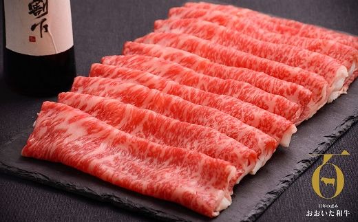 おおいた和牛すき焼きセット(500g)