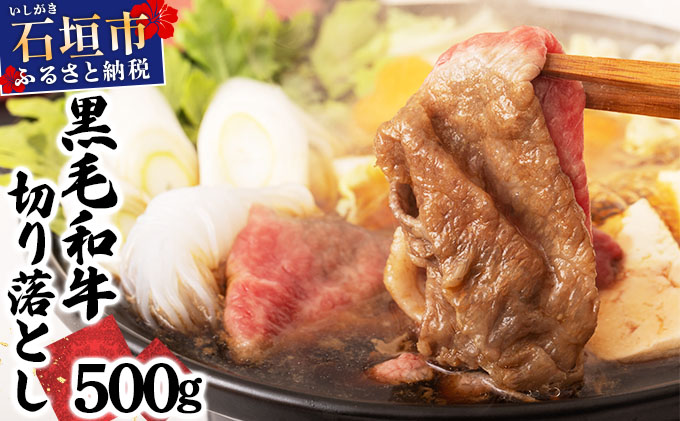 石垣島産経産黒毛和牛 1頭切り落とし 500g E-52