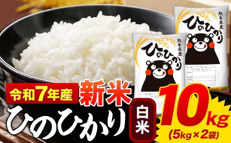 新米 令和7年産 ひのひかり 白米 10kg 《9月中旬-10月末頃出荷》 5kg×2袋 熊本県産 米 精米 ひの 御船町---mifune_lcl_49_h---　（管理コード：mifune_lcl_49_h）