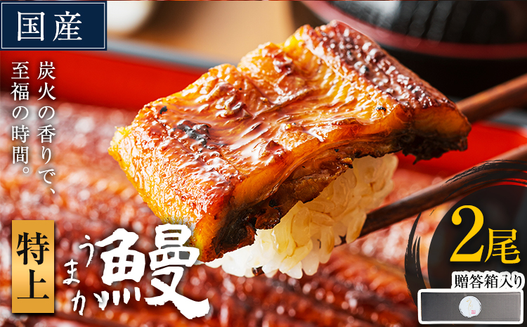 うなぎ 特上サイズ 2尾 贈答箱入り 国産 鰻 真空パック おすすめ うなぎの蒲焼 《30日以内に出荷予定(土日祝除く)》 ふるさとのうぜい 特上 簡易包装 ウナギ unagi 蒲焼 秋 冬 旬 配送時期 冷凍---mifune_lcl_1142_2dai---