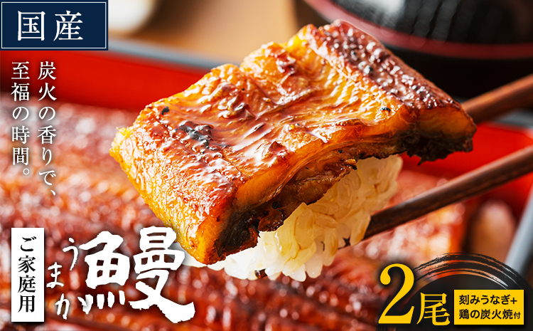 【夏のおすすめ特集】うなぎ ご家庭用 2尾 (刻みうなぎ1袋&鶏の炭火焼1袋付き)国産 鰻 真空パック おすすめ うなぎの蒲焼 《30日以内に出荷予定(土日祝除く)》 有頭 ふるさとのうぜい 鶏炭火焼 訳あり 簡易包装 不揃い ウナギ unagi 蒲焼 秋 冬 旬 配送時期 冷凍---mifune_lcl_72_2p---