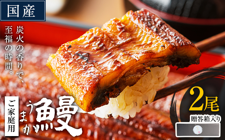 うなぎ2尾+刻みうなぎ1袋【贈答箱入り】国産 鰻 真空パック おすすめ うなぎの蒲焼 《30日以内に出荷予定(土日祝除く)》 有頭 ふるさとのうぜい 鶏炭火焼 訳あり 簡易包装 不揃い ウナギ unagi 蒲焼 秋 冬 旬 配送時期 冷凍---mifune_lcl_1138_2p---